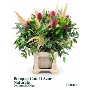 DECOGROEN OV