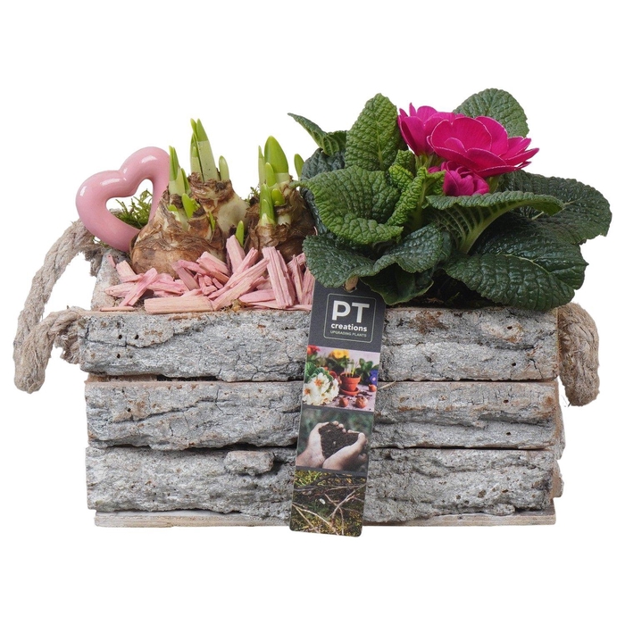 <h4>PTVO3624 Arrangement Valentine Outdoor in houten bak</h4>