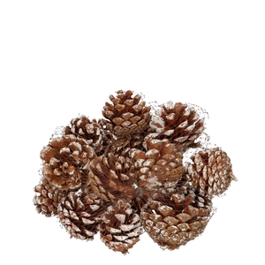 Pine cone Sylvester 200g