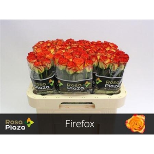 R Gr Firefox