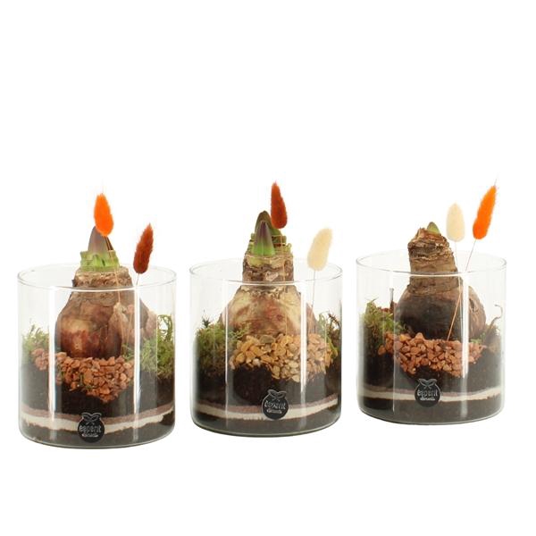 <h4>41585: Treasure time arrangement</h4>