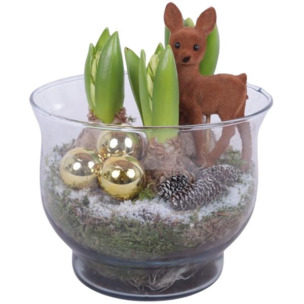 <h4>Christmas Arr. Hyacint Glass Tulip Vase Ø16cm 3PP</h4>