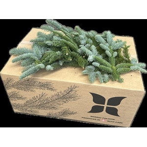NOBILIS LILABAND VEERTJES 8KG