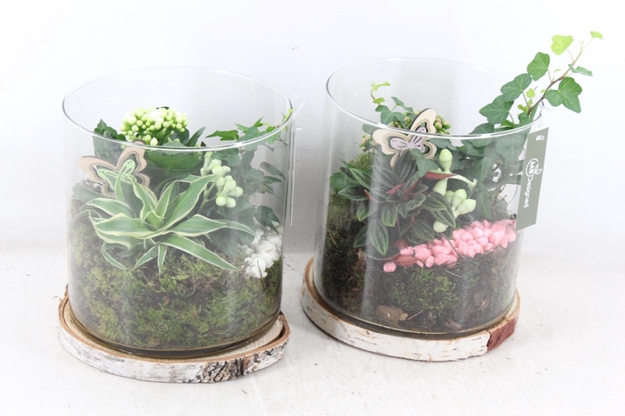 <h4>arr2 MB - Glas cilinder hout schijf XL</h4>