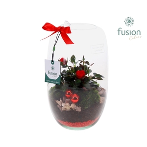 Green Bottle Isabella Medium Kerst met Potroos