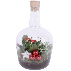 Christmas Arr. Indoor Glass Vase with Hole Ø18cm 2PP