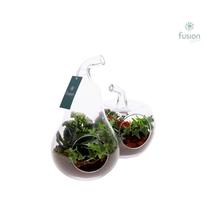 Glas Appel en Peer met arrangement