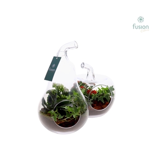 Glas Appel en Peer met arrangement