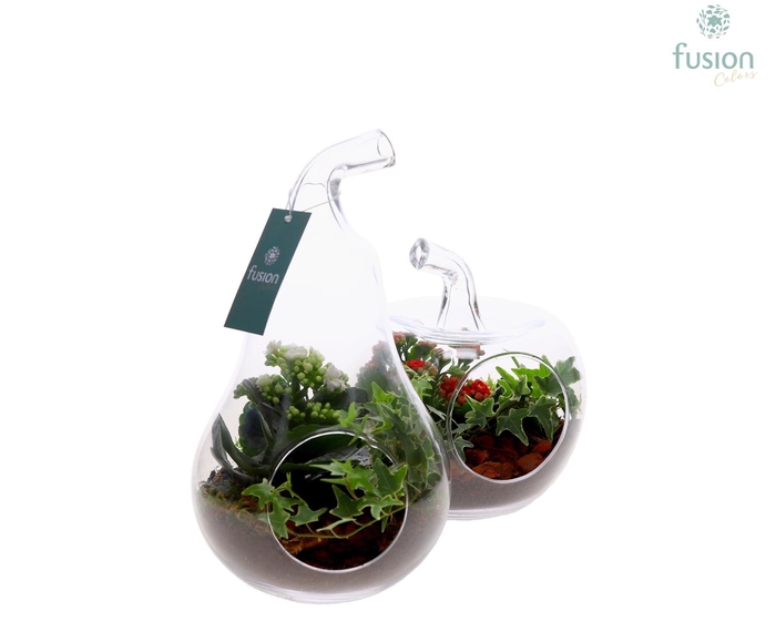 <h4>Glas Appel en Peer met arrangement</h4>