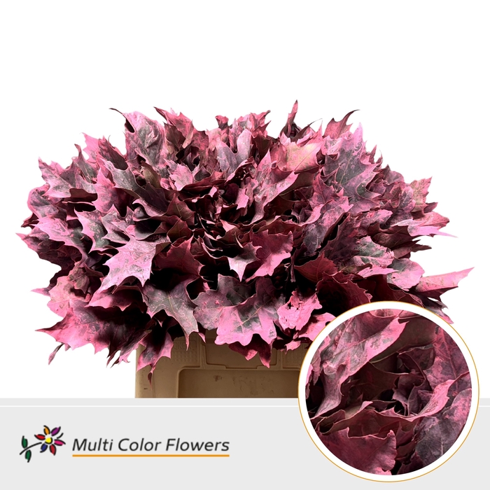 <h4>Eik Grof (60 cm) Frost Koraal</h4>