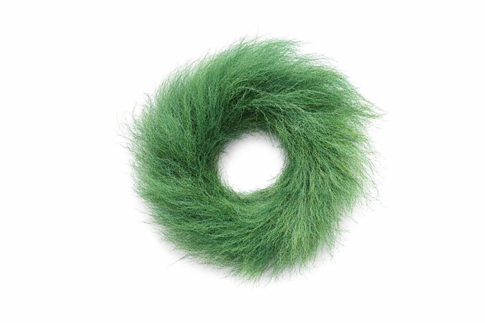 <h4>Wr Panicum Natural Green 40cm</h4>