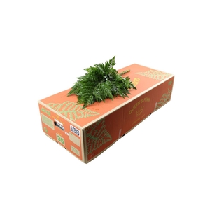 Lederv. Large Queens