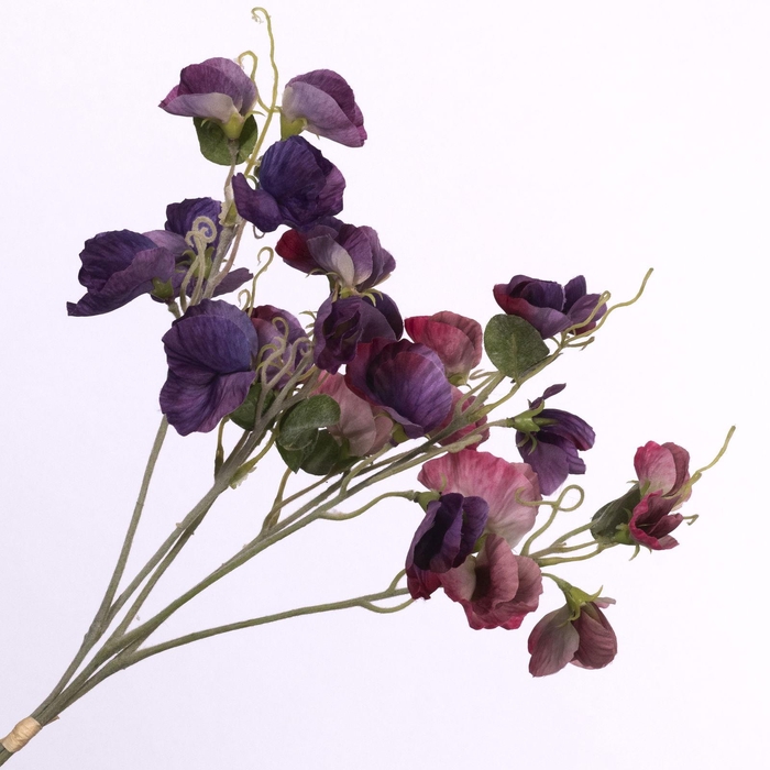 <h4>Lathyrus Bundle Pink Purple BK770002PRP</h4>