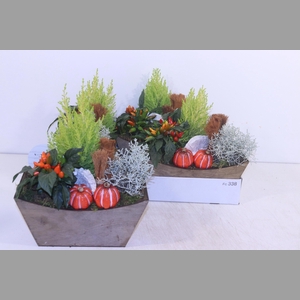 ARR TUINPLANTEN