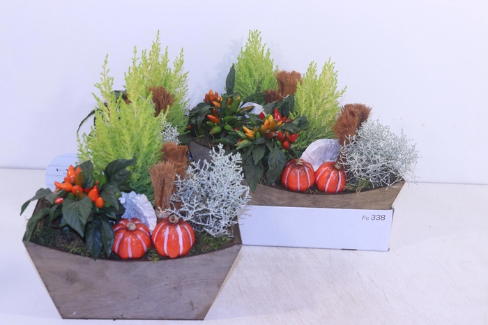 <h4>ARR TUINPLANTEN</h4>