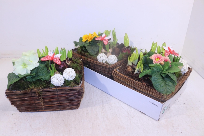 <h4>ARR PL IN SCHAAL</h4>