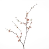 AF Chaenomeles L142cm Coral