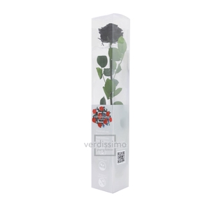 Roos op steel  xl Plexi 55cm Black