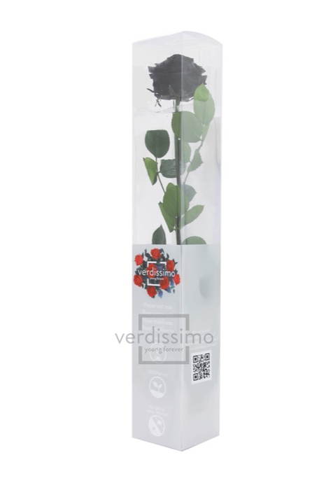 Roos op steel  xl Plexi 55cm Black