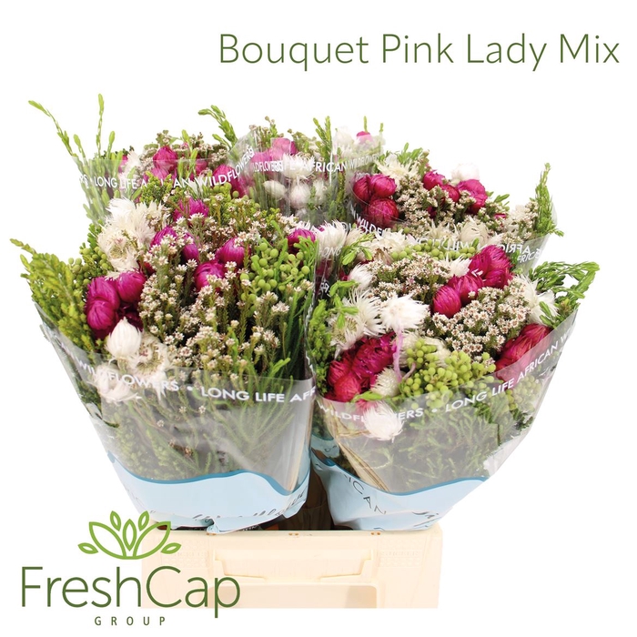 <h4>Bouquet Pink Lady Mix</h4>