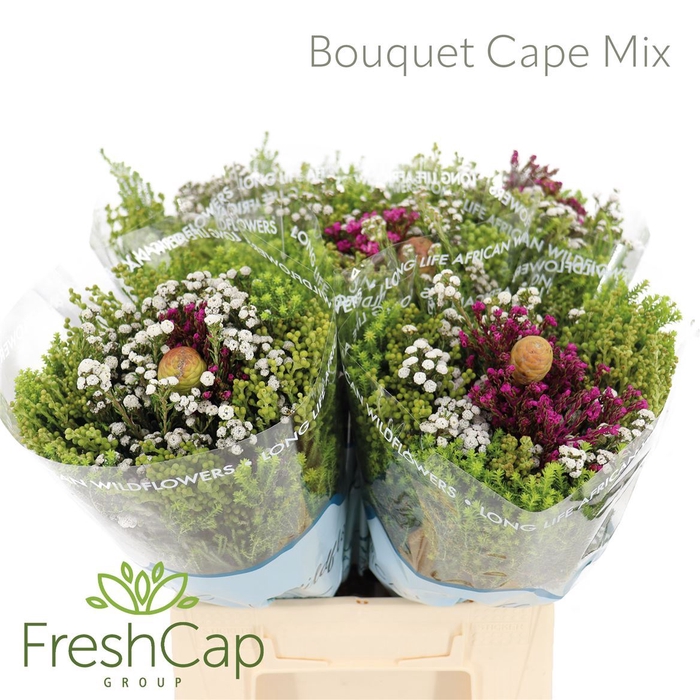 Bouquet Cape Mix