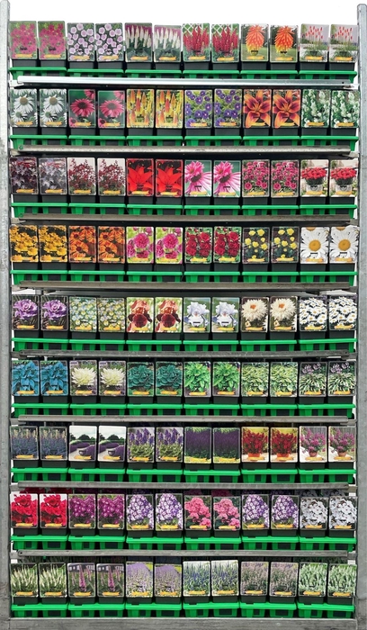 Vaste planten mixkar