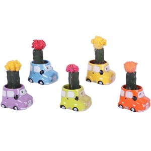 Thank you Teacher Arr. Cactus Ceramic Pot Car Ø09cm 1PP