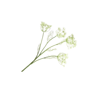 Anethum Cream FL440344CRM