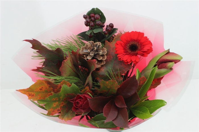 <h4>Boeket Amaryllis Middel</h4>