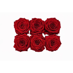 Ro Pres Classic Red