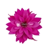 Dalia Pin07