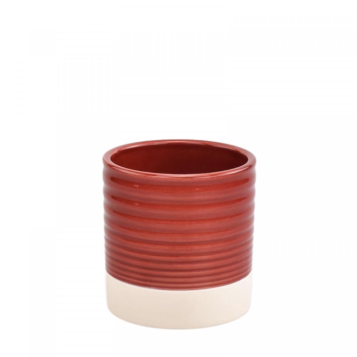 <h4>Vitae pot d10*10.5cm</h4>