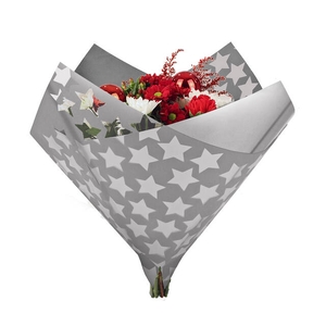 Hoes 35x35cm OPP40/MOPP40 Oblique Clear Stars zilver 500/ds