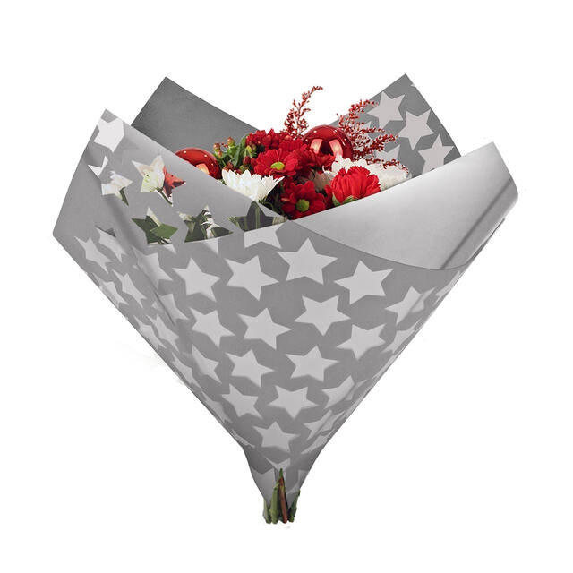 <h4>Hoes 35x35cm OPP40/MOPP40 Oblique Clear Stars zilver 500/ds</h4>