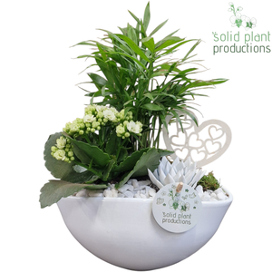 CE005 Evelyn White VM