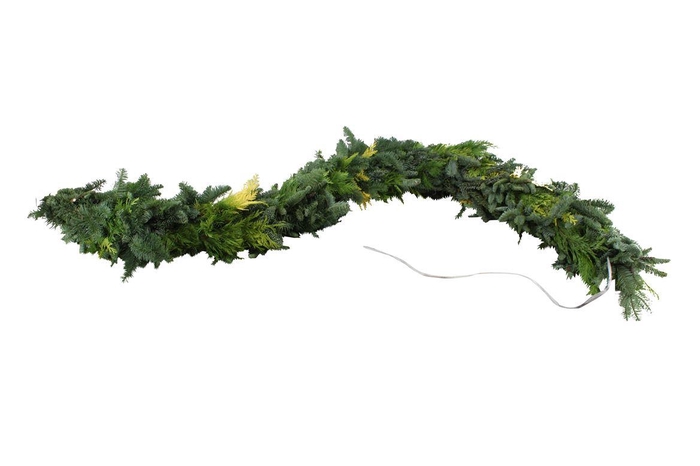 <h4>Guirlande Nobilis Mix 100</h4>