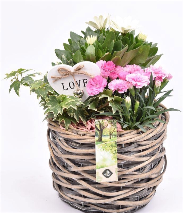 <h4>Wilg mand grijs 18cm</h4>