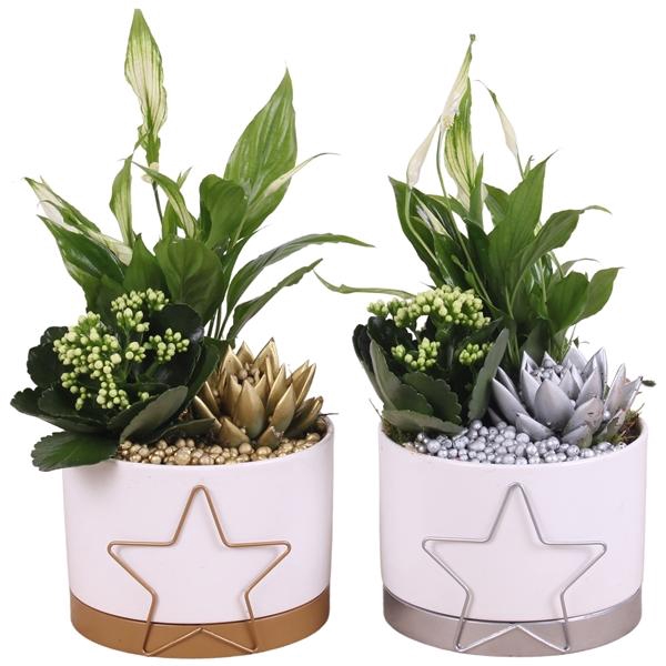 <h4>Christmas Arr. Indoor Ceramic Pot Metal Starframe Ø16cm 3PP</h4>
