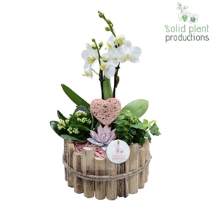 HVPE002 Milano Large Pink