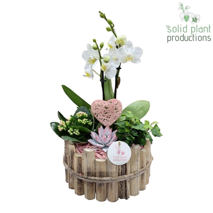 <h4>HVPE002 Milano Large Pink</h4>