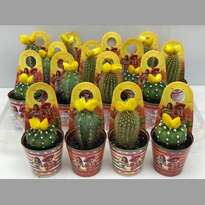 CACTUS GEM