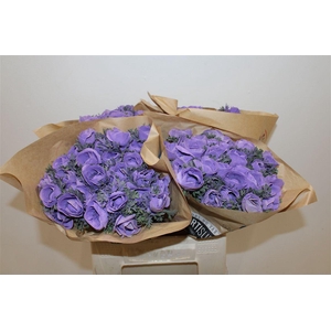 Anem Marianne Powder Lavender