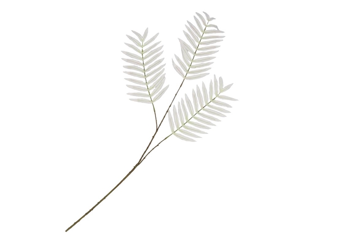 <h4>Silk Palm Leaf White 87cm Nm</h4>