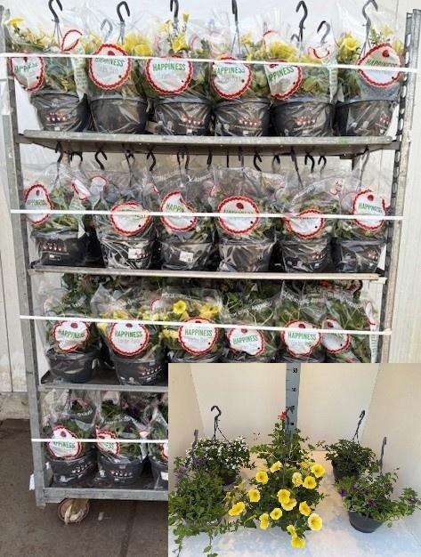 <h4>PERKPL MIXK</h4>