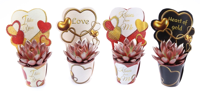 <h4>Potcover love mix red to gold</h4>