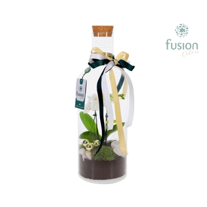 Green Bottle Fles Medium met Kerst arrangement