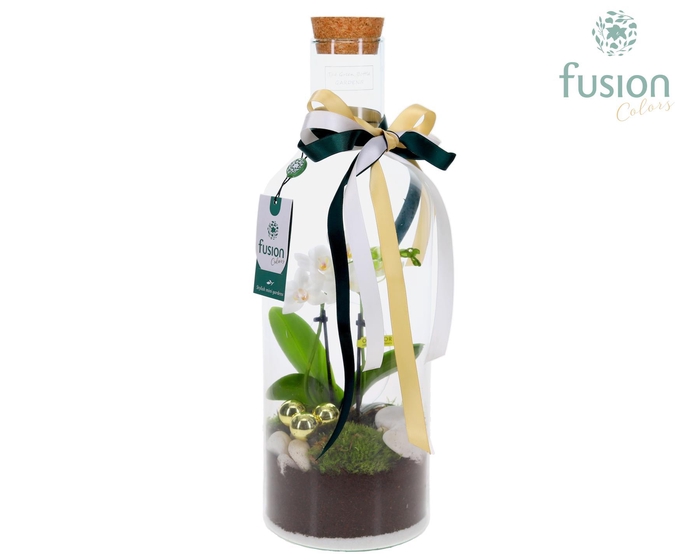 <h4>Green Bottle Fles Medium met Kerst arrangement</h4>