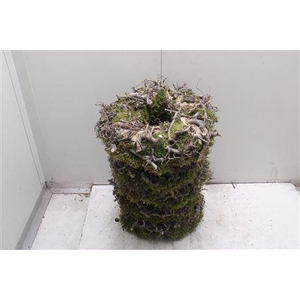 Krans Bonzai Bark 35 Cm