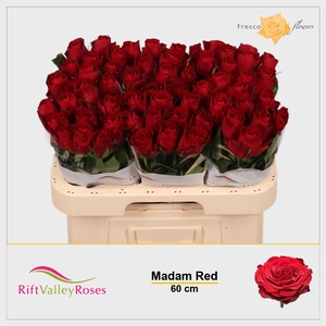 R GR MADAM RED