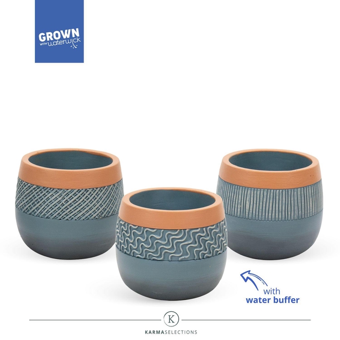 <h4>Karma - SOLO POTS - Orleans 9 cm | Sierpot + watereservoir</h4>